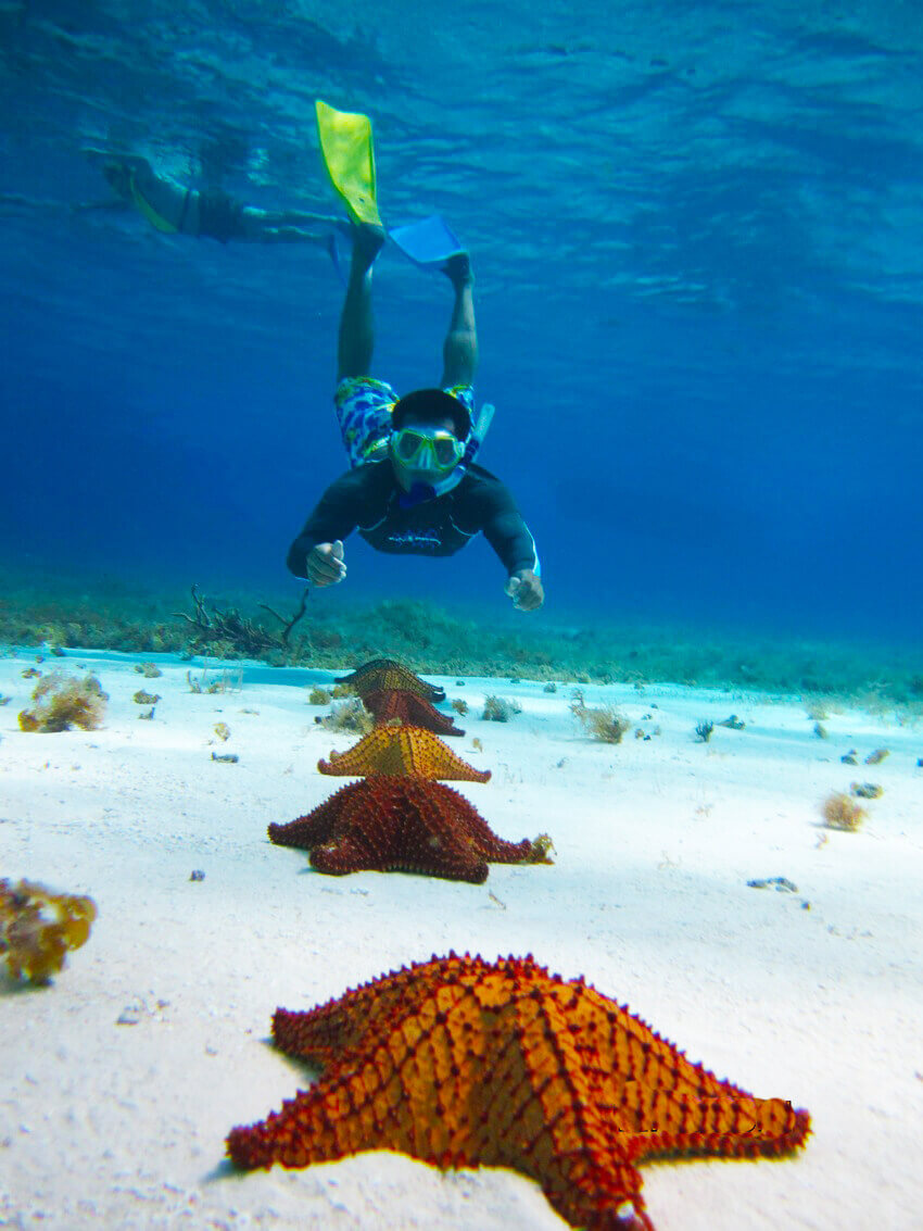 Aqua Excursions - Scuba Diving, Snorkeling and Fishing in Playa del Carmen,  Riviera Maya MX